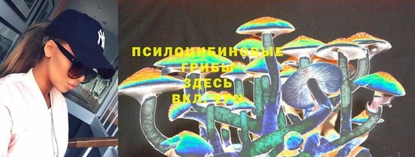 гашик Арсеньев